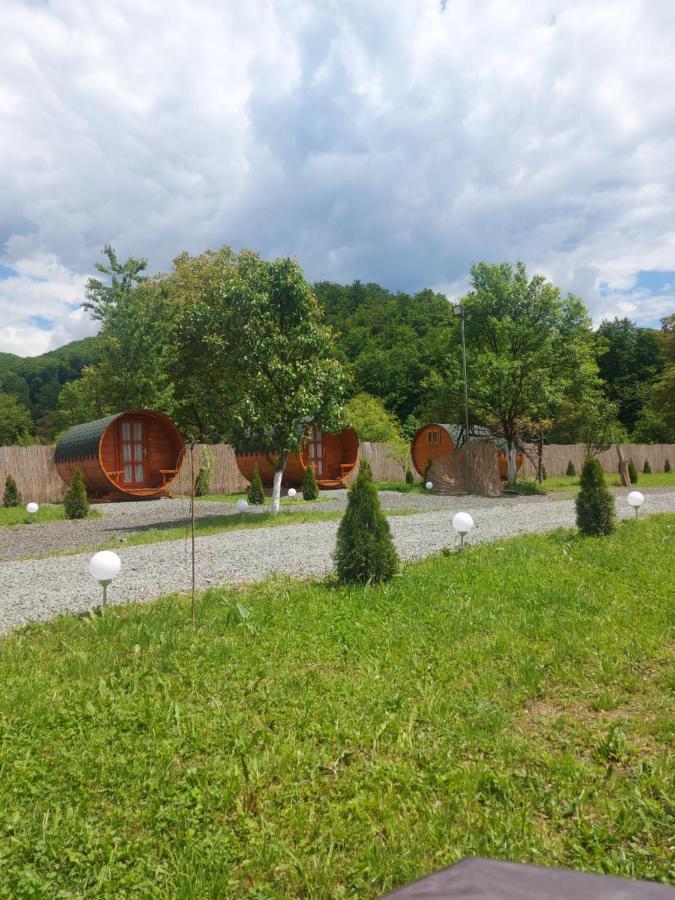 Casa Hoban Appartement Baia Mare Buitenkant foto